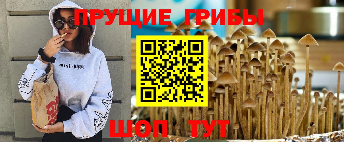 Галлюциногенные грибы Magic Shrooms Саранск