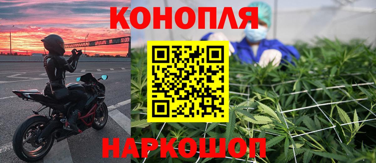 Саранск  Канабис марихуана  Марихуана планчик  Марихуана OG Kush  Вход с VPN  Марихуана Amnesia 